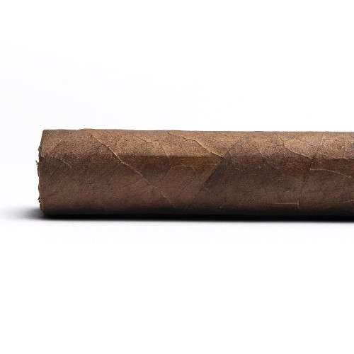 AVO Classic Robusto Cigar - 1 Single